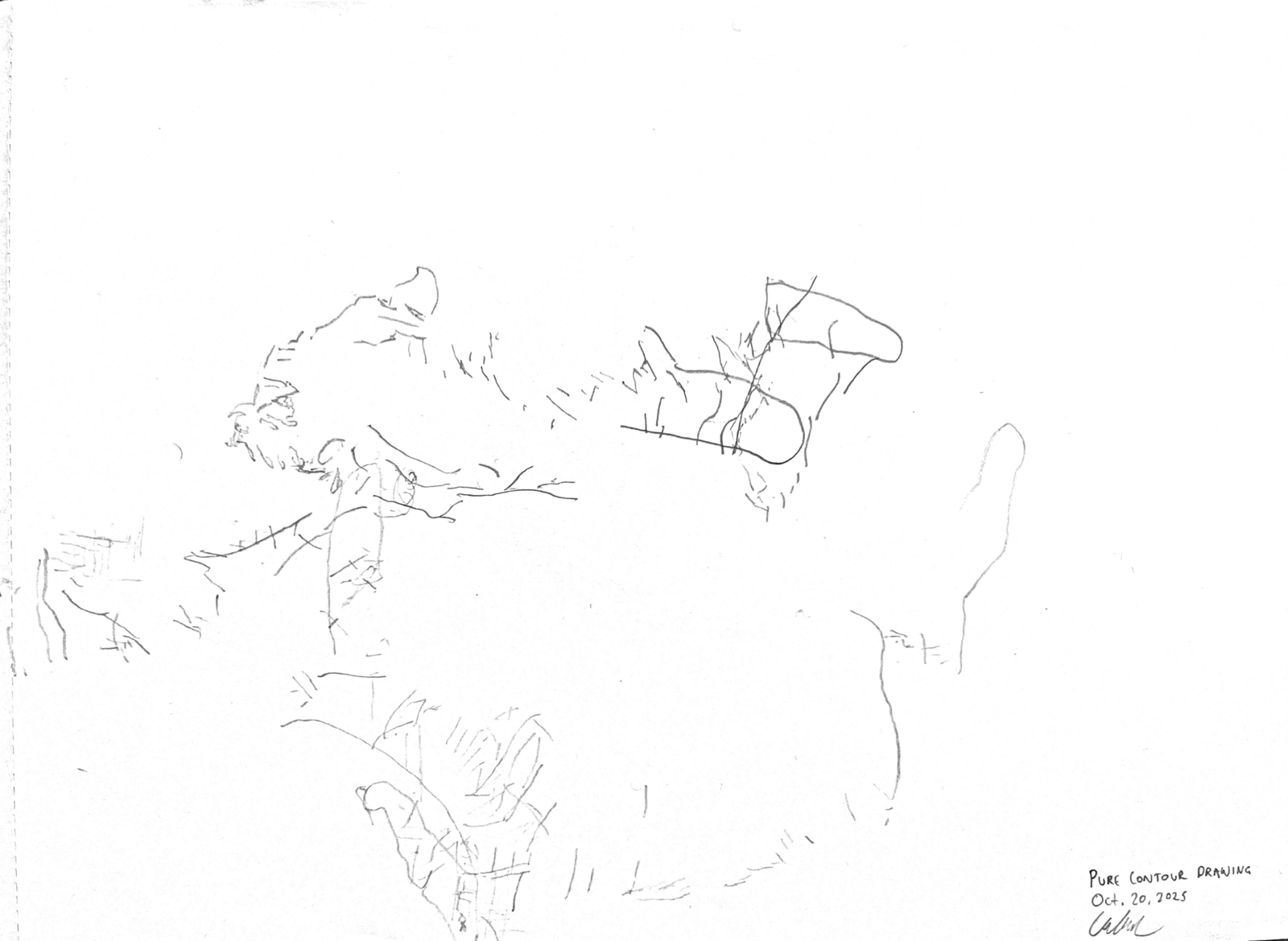 My pure contour drawing result