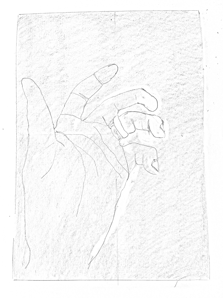 Refining proportions on the toned hand study