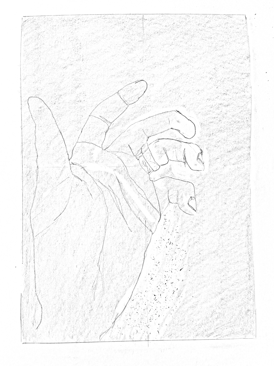 Adding contour weights to the toned hand study