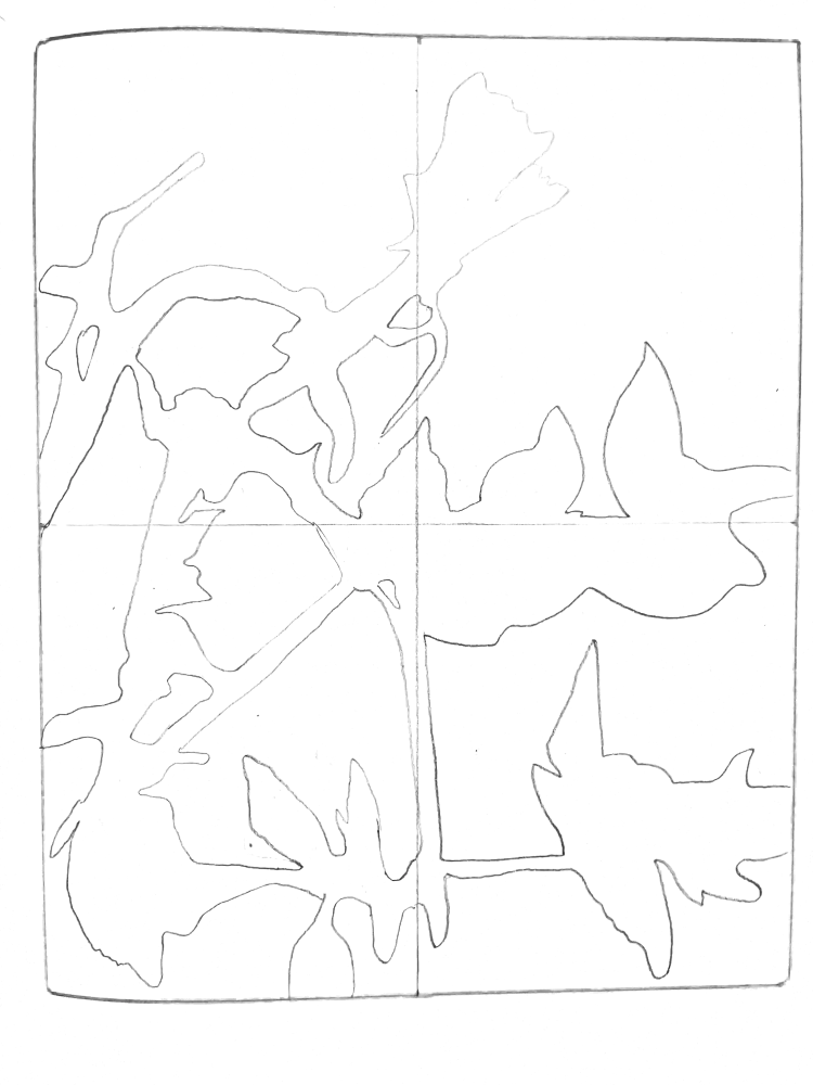 Flower contour study 4 with transparent background