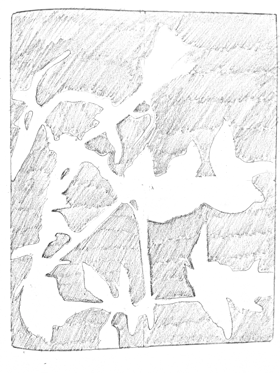 Flower contour study 5 with transparent background