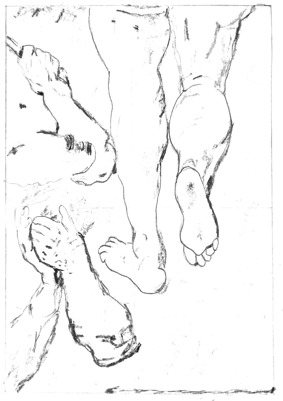 Copy of Studies of Arms and Legs