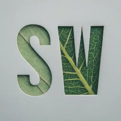 Logo design 24