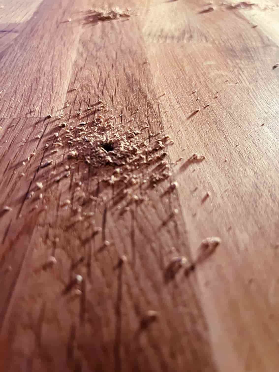 Close-up of drill holes in the oak